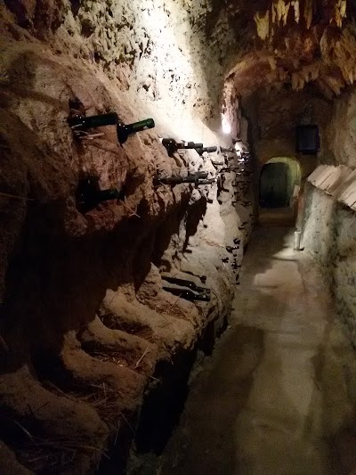 Photos of Музей на Виното / Museum Of Wine