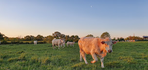 Photo n°16 de ZOETIM Cliniques Vétérinaires à Mauges-sur-Loire (Clinique vétérinaire)