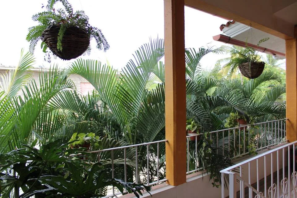 casa LAS PIÑAS