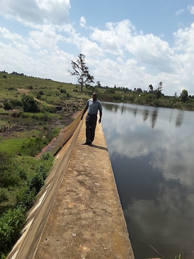 Photos of Two River dam
