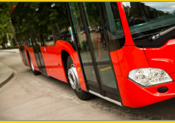Bus n Limo - Thumbnail