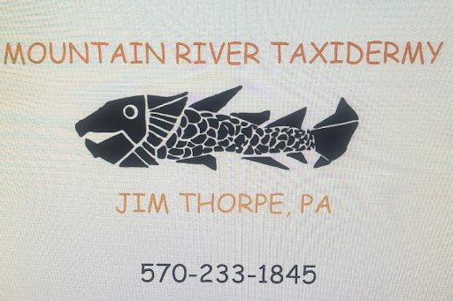 Mountain River Taxidermy - Thumbnail