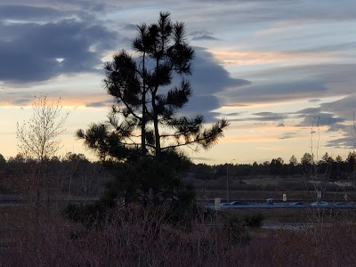 Columbine Open Space and Trail