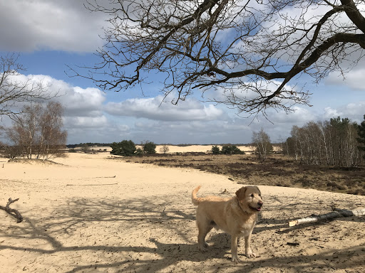 Capucijnenburgh - Thumbnail