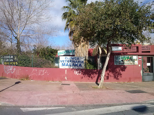 Parque Canino Escuela Canina Municipal - Thumbnail