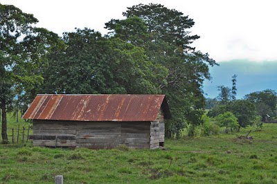 Photos of Finca EL Para&iacute;so