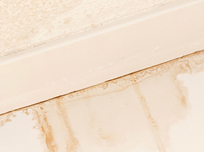 Renagade Water Damage Express photo
