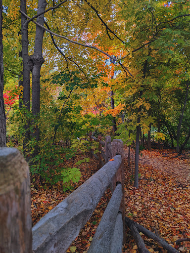Crothers Woods - Thumbnail