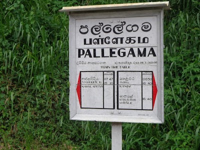 Pallegama Railway Station, Central