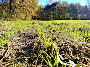 Photo n°3 de FERME DE CANTALAUZE (FOURNIL) à Saint-Martin-d'Oydes (Agriculteur)
