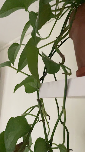 Opinii despre Une écoute attentive, un massage sur mesure în Les Mureaux - Massothérapeute