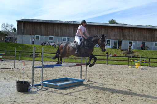 Stud Du Manoir - Thumbnail