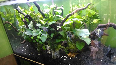 Photos of AQUASCAPE & AIR LAUT