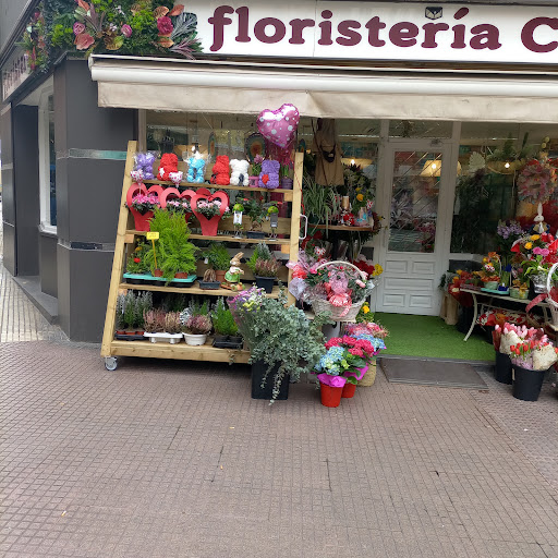 Flores Canoe - Visual