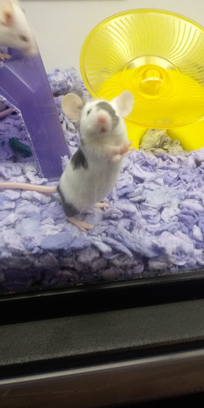 Petco