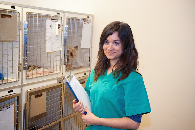 Lawn Vets Swindon - Veterinarian