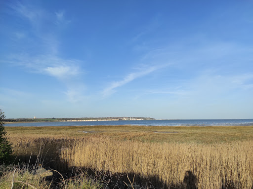 Pegwell Bay Country Park