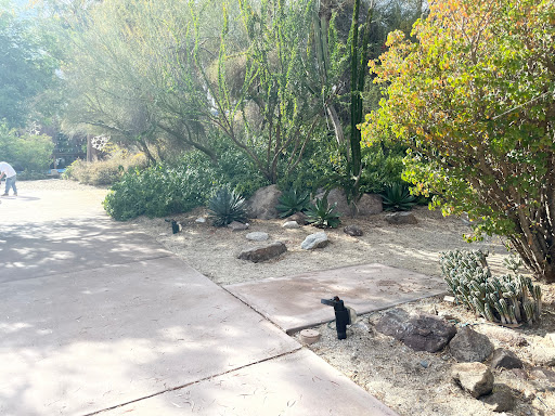 Colorado Desert Garden - Thumbnail