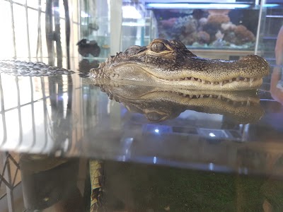 Photos of ONE UP LIQUOR STORE