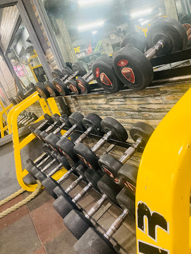 V11 STRENGTH GYM & NUTRITION