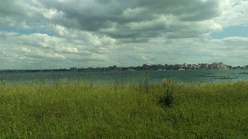 Taranto Galese - Visual