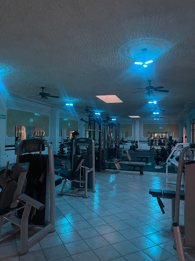 Neptuno Gym - Thumbnail