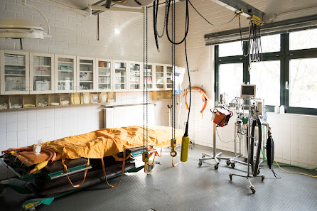 Bild: TIERARZTPRAXIS KÖLN-LANGEL GmbH Vom Inhaber