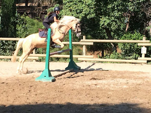 Photo n°12 de Ecurie du Domaine de Pont Royal - Centre Equestre de Pont Royal Mallemort (Ecurie du soleil) à Mallemort (Club de sport)