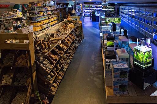 Eemland Diervoeders | Grote Dierenwinkel Gallery - Netherlands
