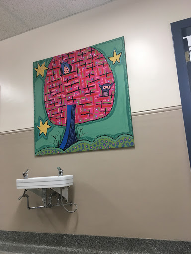 Parkallen School - Visual