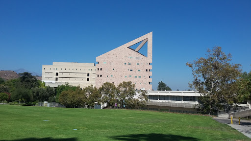 Engineering Meadow - Visual