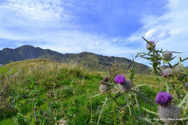 Ecole du Ski Français