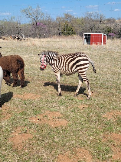 Snider Family Exotics