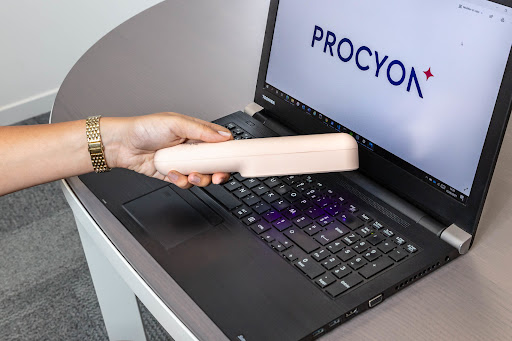 Procyon - Thumbnail