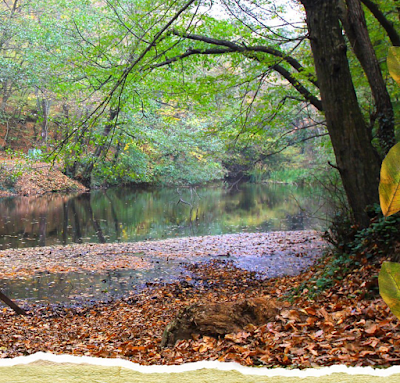 Bentler National Park