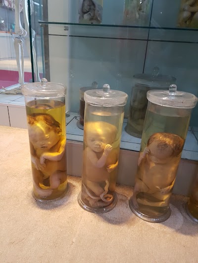 Photos of Xinxiang Medical College
