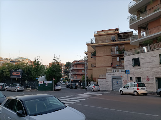 Schettino - Visual