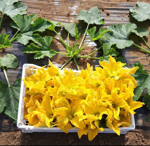 Az. Agricola Pulizzi Carlo - Thumbnail