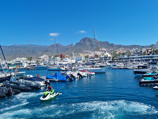 Monte Cristo Catamaran, 5-star Whale and Dolphin Tours, Boat Trips Tenerife - Thumbnail