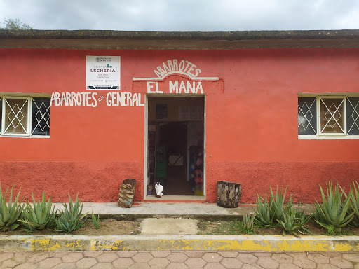 Tienda De Abarrotes EL MANA