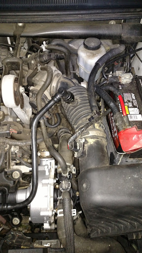 Dolphin Automotive Repair - Thumbnail