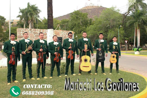 Mariachi Los Gavilanes