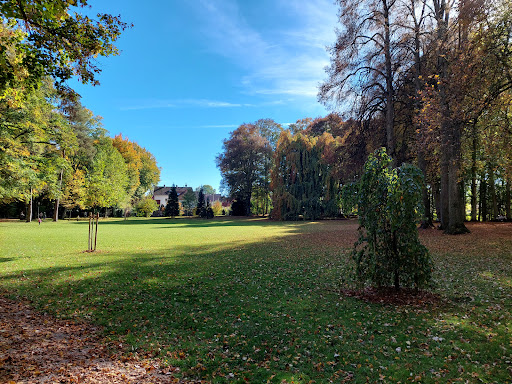Luitpoldpark - Visual