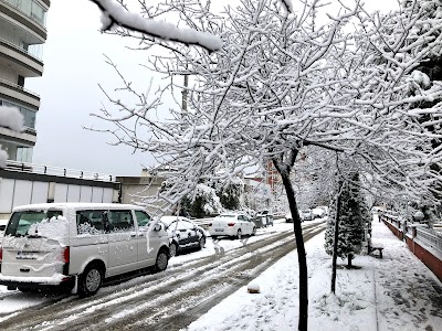 Söğütlü Aile Mezarlığı