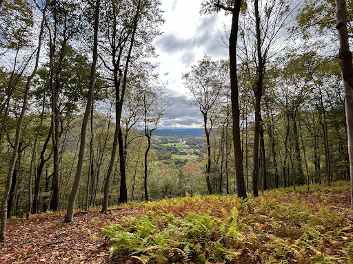 Loyalsock Creek Vista (Rider Park Loop Trail) - Thumbnail