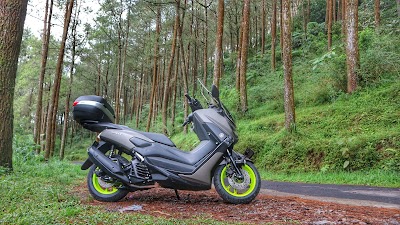 Photos of Hutan Pinus Kopeng