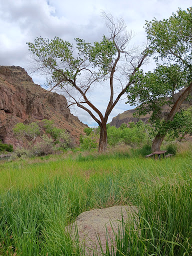 Snively Hot Spring - Visual