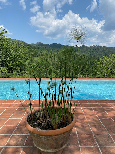 Borgo Batone - Visual