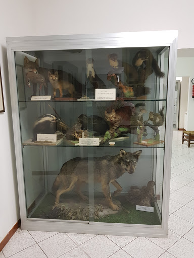 Comune di Stazzano Museo civico storia naturale - Thumbnail