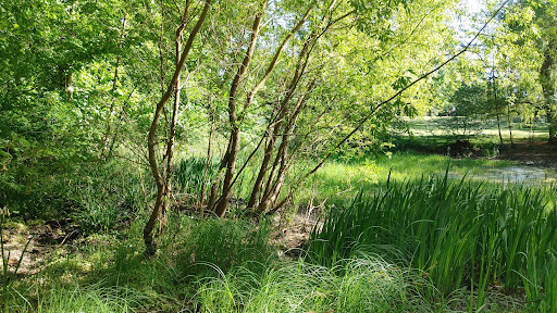 Messelpark - Visual